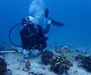attaching_corals_to_reef_on_nature_seychelles_coral_reef_restoration_project._cousin_island._2018._photo_by_paul_anstey_