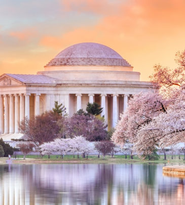Jefferson Memorial during the Cherry Blossom Festival in Washington, DC, United States